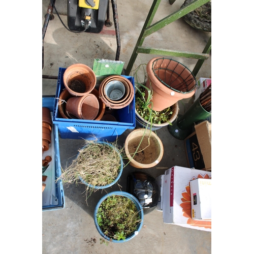 1793 - AN ASSORTMENT OF GLAZED AND TERRACOTTA PLANT POTS