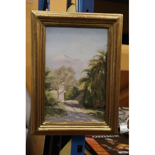 996 - AN OIL ON CANVAS, 'PALMS BEFORE ETNA', SICILY, INDISTINCT SIGNATURE, IN GILT FRAME, 27CM X 37CM