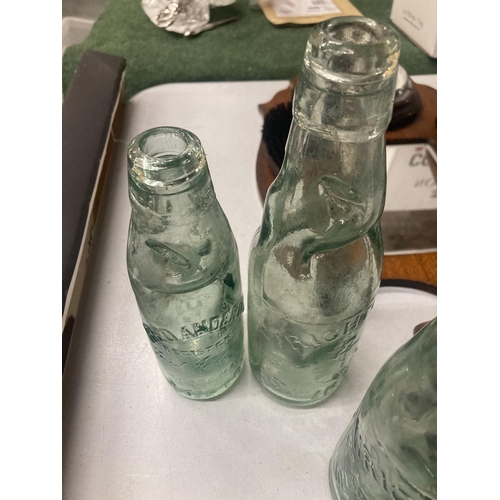 250A - FIVE VINTAGE GLASS COD BOTTLES WITH MARBLE STOPPERS