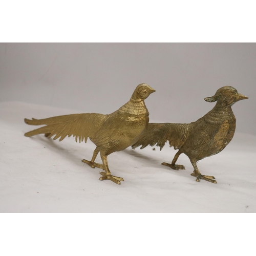 199 - A PAIR OF COCK AND HEN PHEASANTS, HEIGHT 12CM, LENGTH 28CM