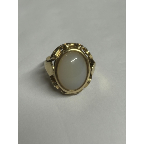 550 - A 14CT GOLD DRESS RING, SIZE L. WEIGHT 5.09 GRAMS