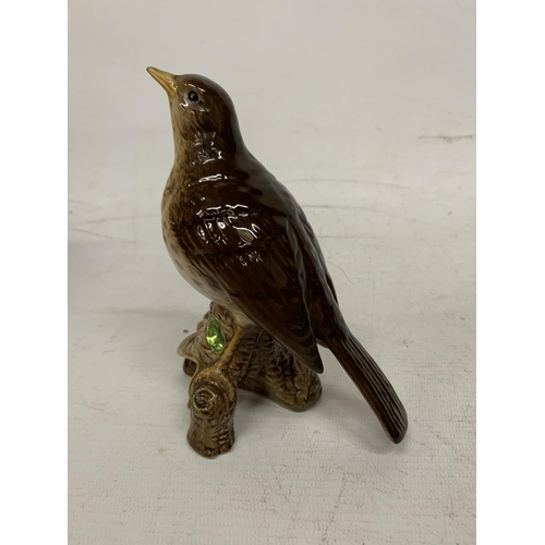 752 - A BESWICK SONG THRUSH IN A GLOSS FINISH No 2308