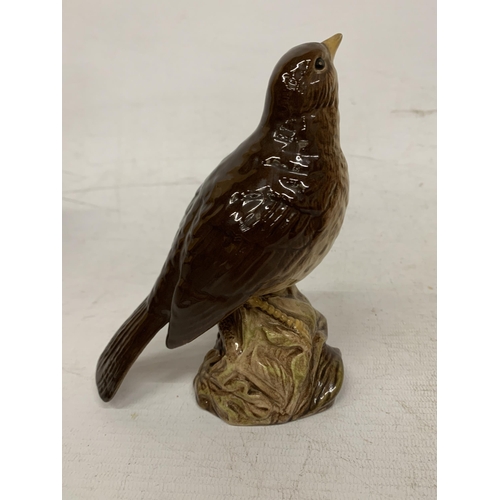 752 - A BESWICK SONG THRUSH IN A GLOSS FINISH No 2308