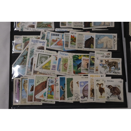 864 - A COLLECTION OF STAMPS ON STOCK CARDS