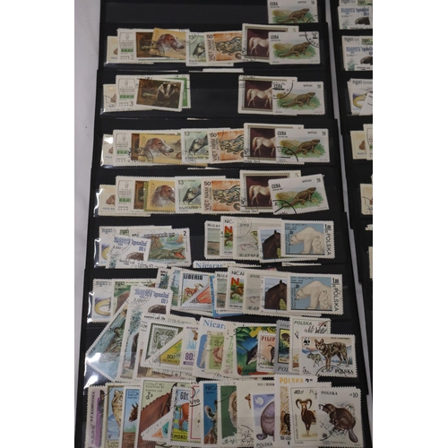 864 - A COLLECTION OF STAMPS ON STOCK CARDS