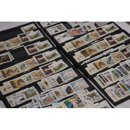 864 - A COLLECTION OF STAMPS ON STOCK CARDS