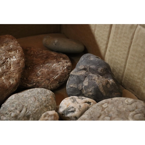 1093 - A BOX OF ASSORTED GEOLOGICAL STONES, ETC