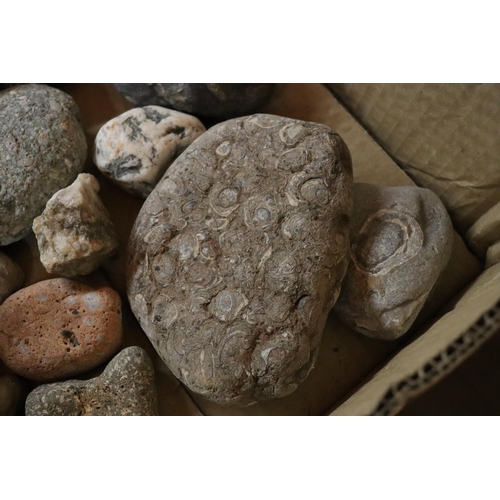 1093 - A BOX OF ASSORTED GEOLOGICAL STONES, ETC