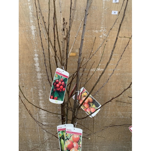 69 - FIVE VARIOUS FRUIT TREES TO INCLUDE AN APPLE, PEAR, CHERRY, PLUM AND DAMSON BARE ROOTS OVER 1 METRE ... 