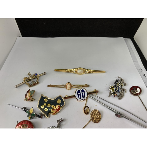 601 - A QUANTITY OF VARIOUS PIN BROOCHES