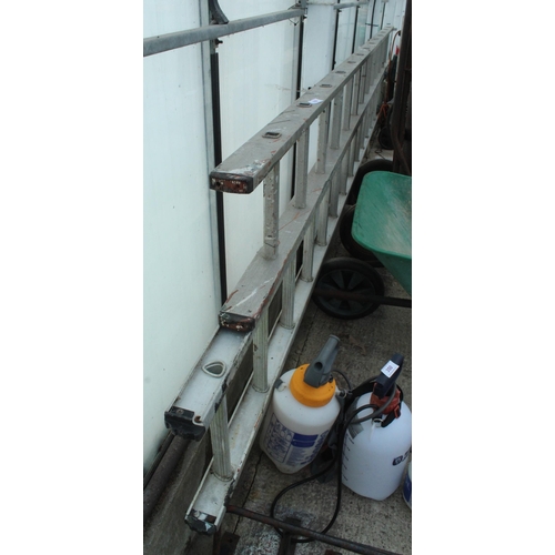 359 - 2 LADDERS 13 RUNGS  NO VAT