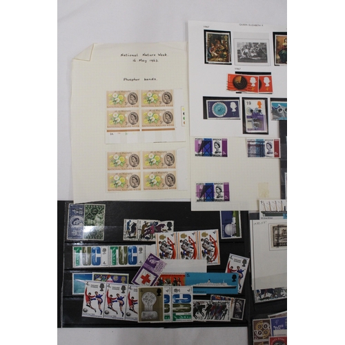 415 - A COLLECTION OF QUEEN ELIZABETH CIRCA 1950 MINT STAMPS