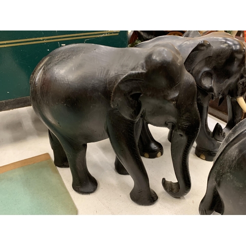 279 - A COLLECTION OF SEVEN WOODEN ASIAN ELEPHANTS