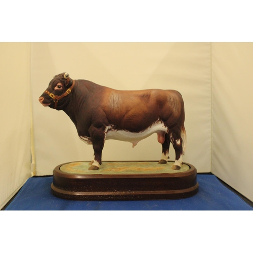 46 - A ROYAL WORCESTER MODEL OF A DAIRY SHORTHORN BULL MODELLED BY DORIS LINDNER PRODUCED IN A LIMITED ED... 