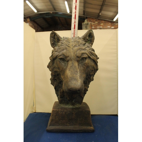 47 - A LARGE BRONZED BUST OF A WOLF SIGNED TO THE BACK