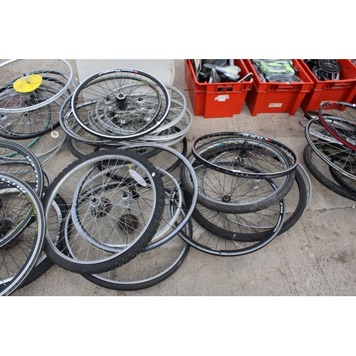 1782 - A LARGE ASSORTMENT OF VARIOUS BIKE WHEELS AND TYRES