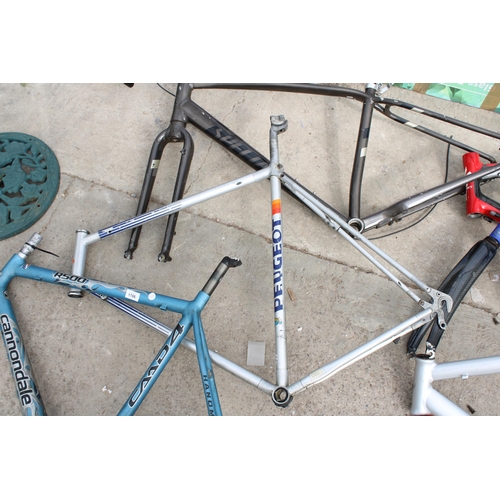 1786 - THREE VARIOUS BIKE FRAMES TO INCLUDE A CANNONDALE AND A PEUGEOT ETC