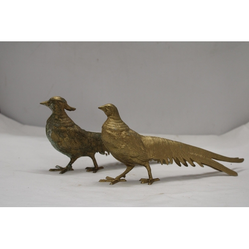 206 - A PAIR OF COCK AND HEN PHEASANTS, HEIGHT 12CM, LENGTH 28CM