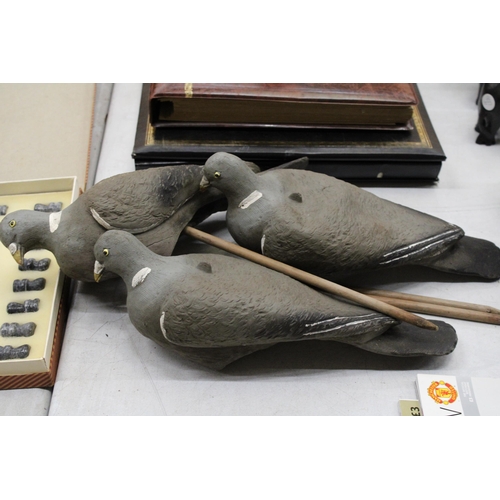 802 - THREE DECOY PIGEONS ON WOODEN MOUNTS