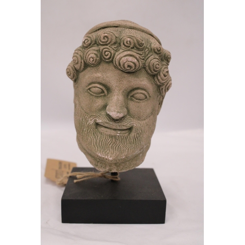 804 - A CLASSICAL BUST ON A PLINTH, HEIGHT APPROX 24CM