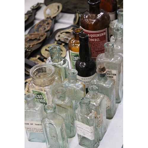 813 - SEVENTEEN VINTAGE MEDICINAL BOTTLES