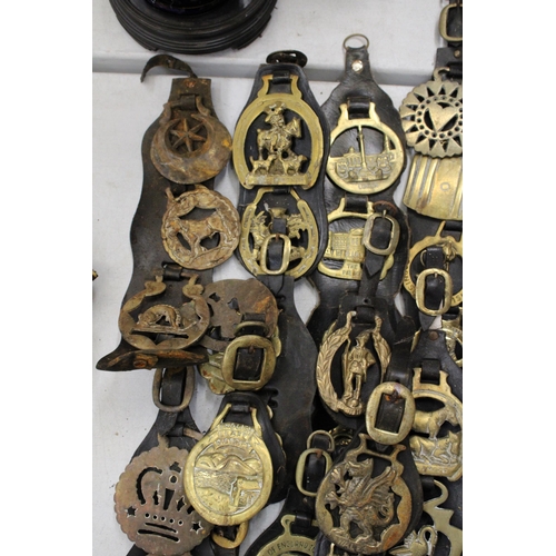 814 - A LARGE COLLECTION OF HORSE BRASSES ON LEATHER STRAPS