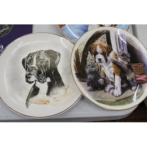 818 - SEVEN BOXER DOG COLLECTORS PLATES WITH PLATE STANDS