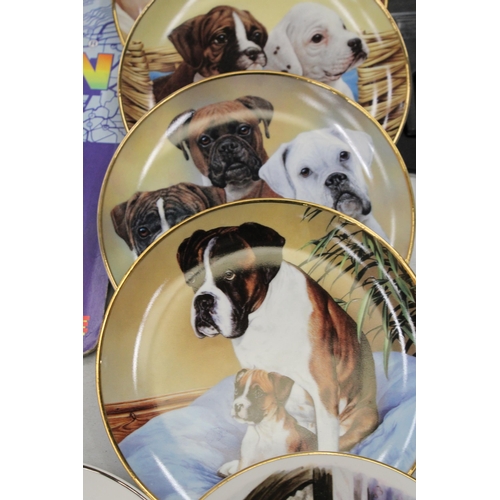 818 - SEVEN BOXER DOG COLLECTORS PLATES WITH PLATE STANDS