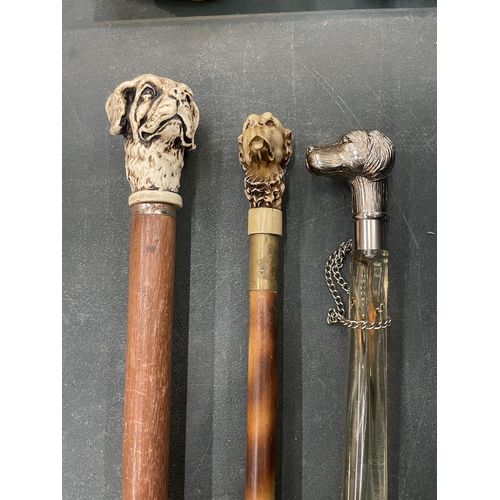 98A - TWO CARVED DOG HEAD WALKING STICKS AND A WHITE METAL DOG HEAD SHOE HORN