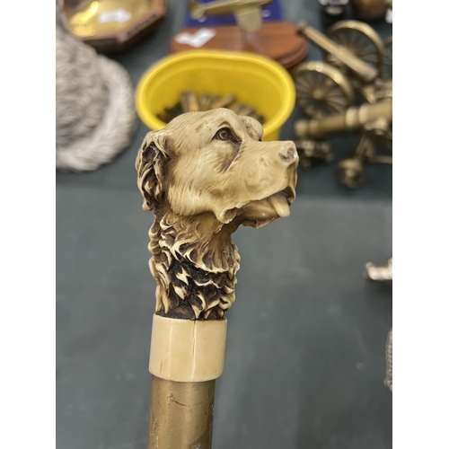 98A - TWO CARVED DOG HEAD WALKING STICKS AND A WHITE METAL DOG HEAD SHOE HORN