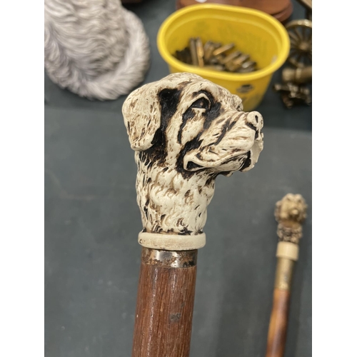 98A - TWO CARVED DOG HEAD WALKING STICKS AND A WHITE METAL DOG HEAD SHOE HORN