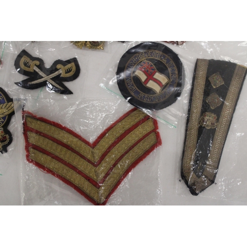 204 - A QUANTITY OF MILITARY CLOTH BADGES AND PIPS