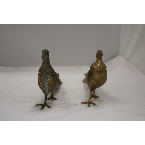 206 - A PAIR OF COCK AND HEN PHEASANTS, HEIGHT 12CM, LENGTH 28CM