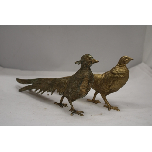 206 - A PAIR OF COCK AND HEN PHEASANTS, HEIGHT 12CM, LENGTH 28CM