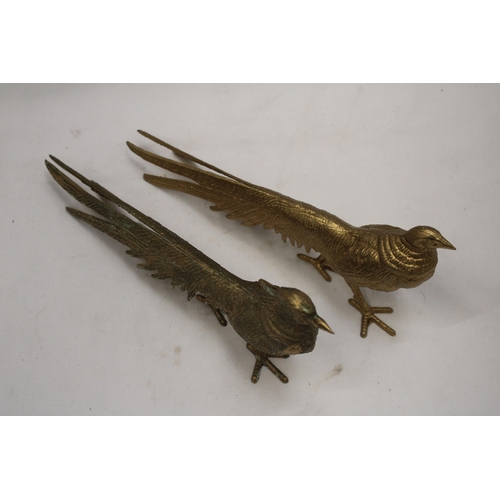 206 - A PAIR OF COCK AND HEN PHEASANTS, HEIGHT 12CM, LENGTH 28CM