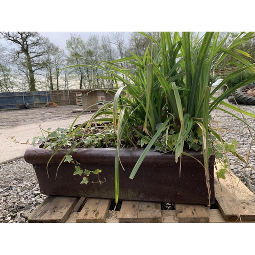 49 - ONE BROWN SALT GLAZED PIG TROUGH WITH PLANTS MEASURING 76CM IN LENGTH BY 29CM WIDTH APPROX 23CM IN D... 