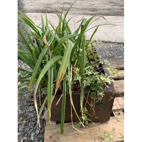 49 - ONE BROWN SALT GLAZED PIG TROUGH WITH PLANTS MEASURING 76CM IN LENGTH BY 29CM WIDTH APPROX 23CM IN D... 