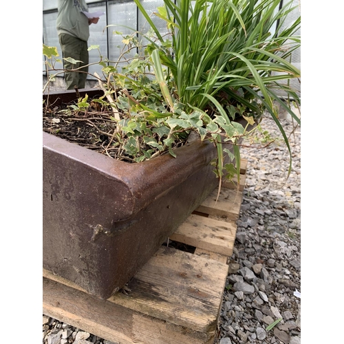 49 - ONE BROWN SALT GLAZED PIG TROUGH WITH PLANTS MEASURING 76CM IN LENGTH BY 29CM WIDTH APPROX 23CM IN D... 