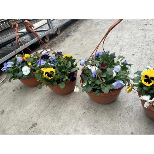 86 - FIVE PANSY HANGING BASKETS TO BE SOLD FOR THE FIVE PLUS VAT