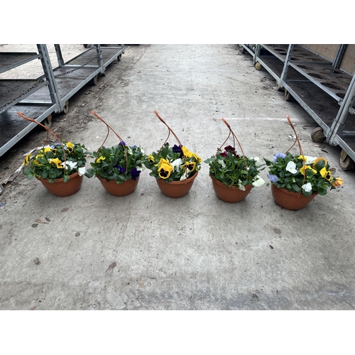 87 - FIVE PANSY HANGING BASKETS TO BE SOLD FOR THE FIVE PLUS VAT