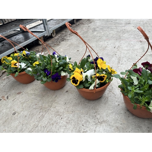 87 - FIVE PANSY HANGING BASKETS TO BE SOLD FOR THE FIVE PLUS VAT