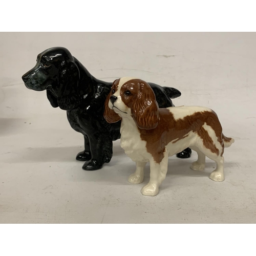 717 - A ROYAL DOULTON FIOGURE OF A BLACK COCKER SPANIEL 