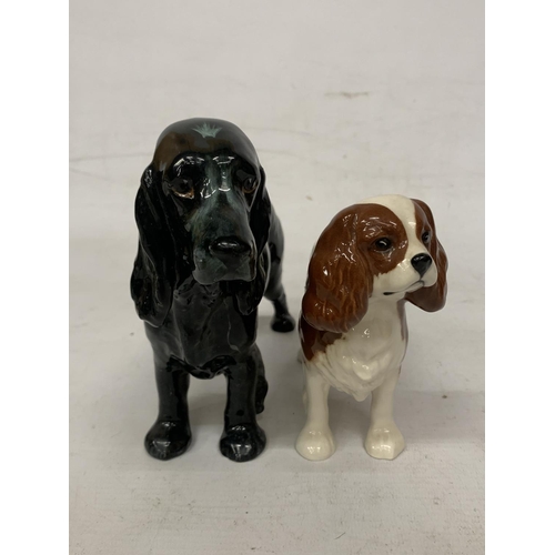 717 - A ROYAL DOULTON FIOGURE OF A BLACK COCKER SPANIEL 