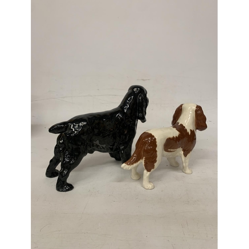 717 - A ROYAL DOULTON FIOGURE OF A BLACK COCKER SPANIEL 