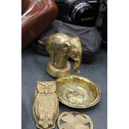 163 - FIVE ITEMS OF VINTAGE BRASS TO INCLUDE HEAVY BRASS ELEPHANT, OWL WALL CLIP, PRINCE ALBERT CONSORT OF... 