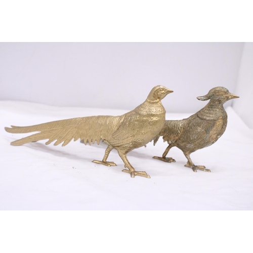 268 - A PAIR OF COCK AND HEN PHEASANTS, HEIGHT 12CM, LENGTH 28CM