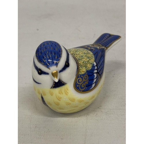 751 - A ROYAL CROWN DERBY PAPERWEIGHT GARDEN BLUE TIT WITH GOLD COLOURED STOPPER