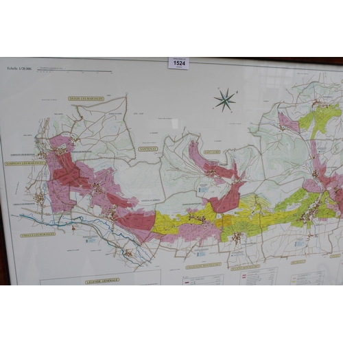 1524 - A WALNUT FRAMED MAP OF COTE DE BEAUNE