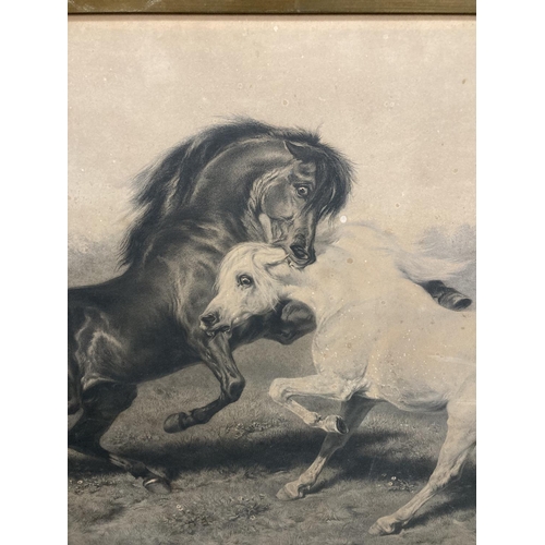 54 - A FRAMED SIGNED PRINT OF A PAINTING BY ROSA BONHEUR OF TWO STALLIONS FIGHTING WITH GALLERY STAMP