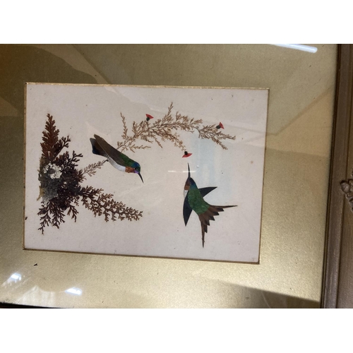 57 - A FRAMED COLLAGE OF BIRDS COMPOSED OF FEATHERS AND PRESSED FOLIAGE 10